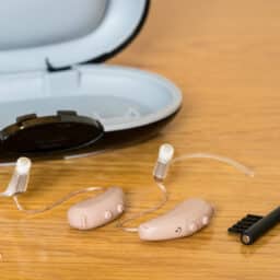 Hearing aids and cleaning brush
